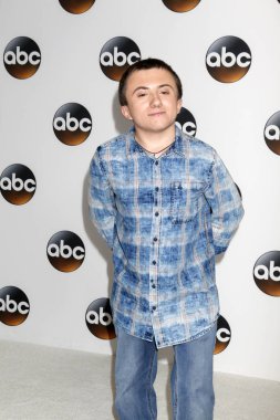 aktör Atticus Shaffer