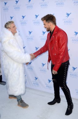 Aaron Carter, Adam Lambert
