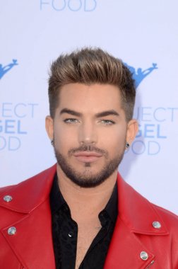 Şarkıcı Adam Lambert