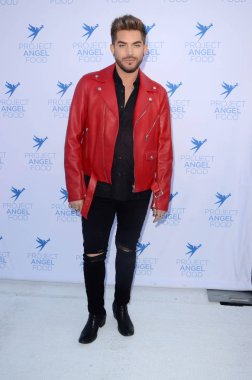 Şarkıcı Adam Lambert