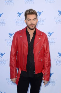 Şarkıcı Adam Lambert
