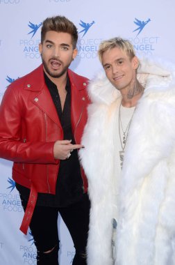 Aaron Carter, Adam Lambert