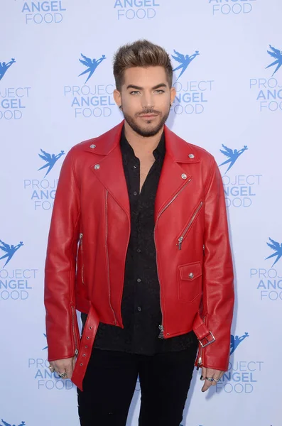 Zpěvák Adam Lambert — Stock fotografie