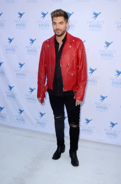 Şarkıcı Adam Lambert