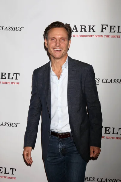 Actor Tony Goldwyn — Stock Photo, Image