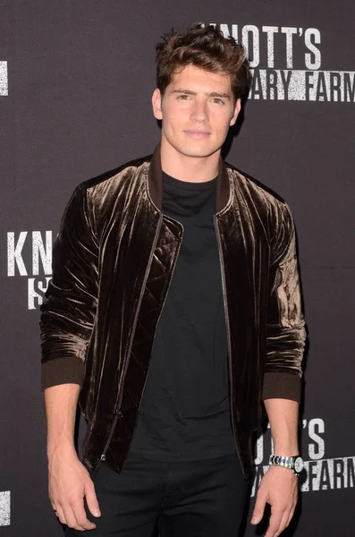 aktör Gregg Sulkin