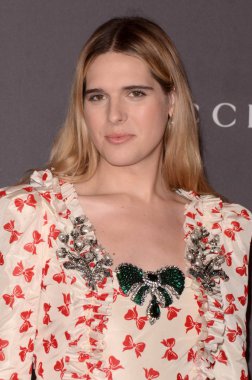 Modeli Hari Nef