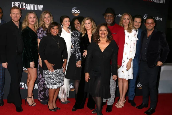 Greys Anatomy Cast — Stockfoto