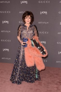 şarkıcı Carole Bayer Sager