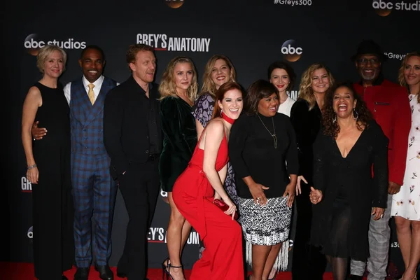 Greys Anatomy Cast — Stockfoto