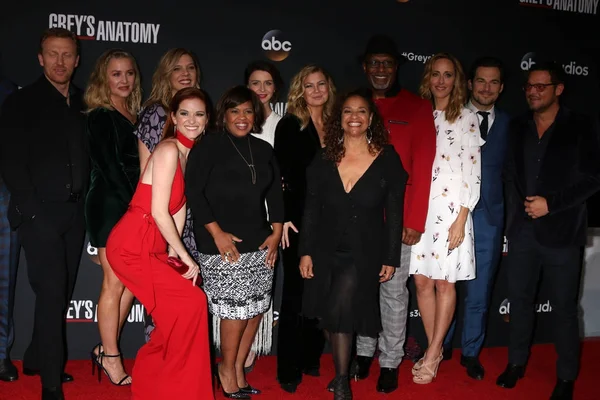 Greys Anatomy Cast — Stockfoto