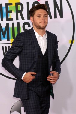 şarkıcı Niall Horan