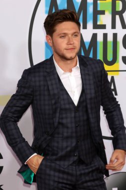 şarkıcı Niall Horan