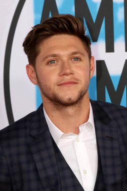 şarkıcı Niall Horan