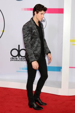 şarkıcı Shawn Mendes