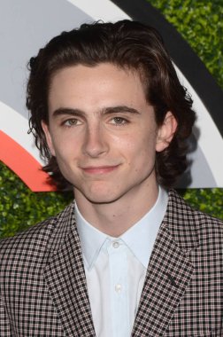 Aktör Timothee Chalamet Gq adamlara yıl 2017 parti, Chateau Marmont, Los Angeles, Ca