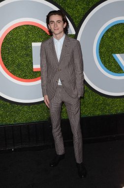 Aktör Timothee Chalamet