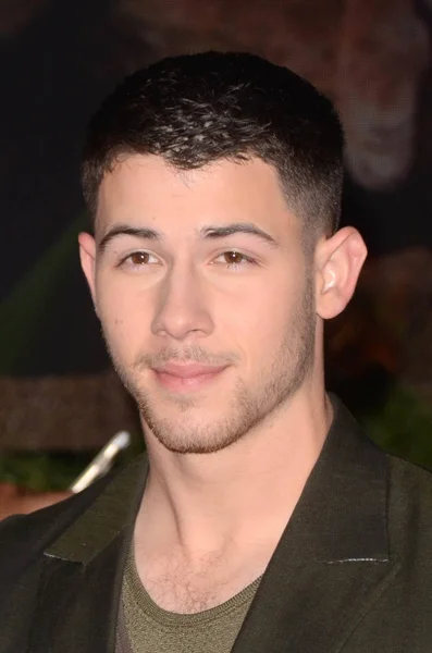 Nick Jonas színész — Stock Fotó