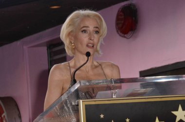 sinema oyuncusu gillian anderson