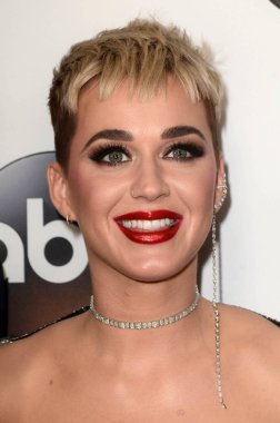 Şarkıcı Katy Perry