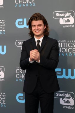 aktör Joe Keery