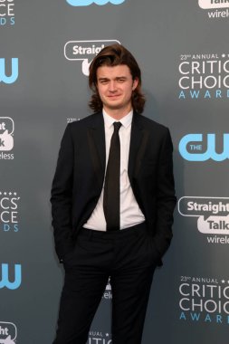 aktör Joe Keery