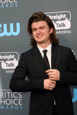 aktör Joe Keery