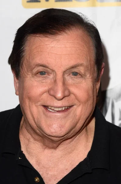 Skuespiller Burt Ward – stockfoto