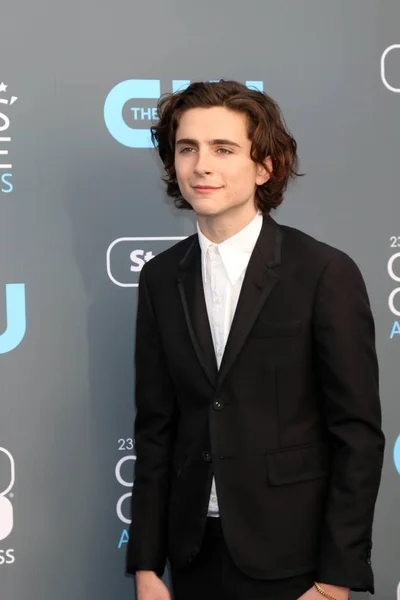 Actor Timothee Chalamet — Stock Photo, Image