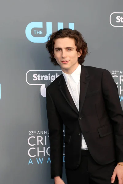 Herec Timothee Chalamet — Stock fotografie