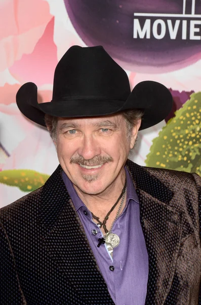 Actor Kix Brooks — Stock Photo, Image