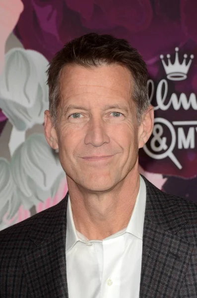 James Denton Hallmark Channel Hallmark Movies Mysteries Winter 2018 Tca — Foto de Stock