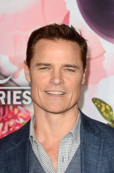 Dylan Neal Hallmark Channel Hallmark Movies Mysteries Winter 2018 Tca — Stock Photo, Image