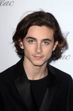 Aktör Timothee Chalamet