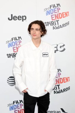 Aktör Timothee Chalamet