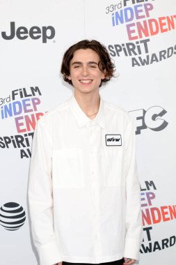 Aktör Timothee Chalamet