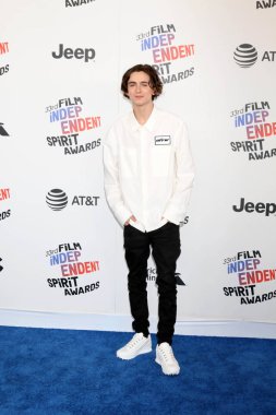 Aktör Timothee Chalamet