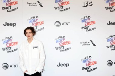 Aktör Timothee Chalamet