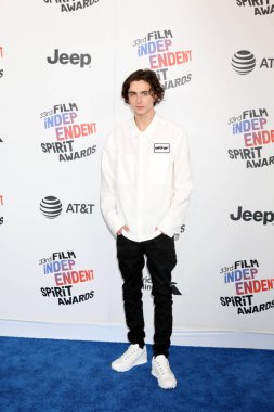 Aktör Timothee Chalamet