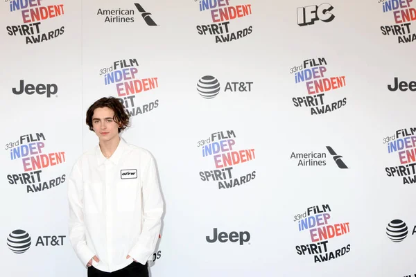 Ator Timothee Chalamet — Fotografia de Stock