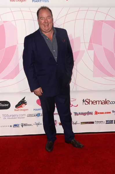 Steven Grooby 2018 Tea Awards Avalon Hollywood — Stock Fotó