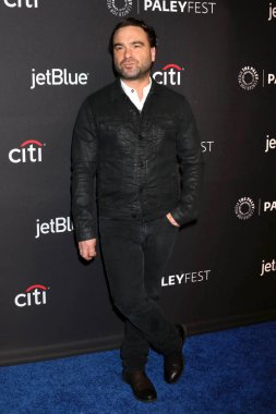 Aktör Johnny Galecki