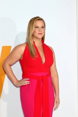 aktris Amy Schumer