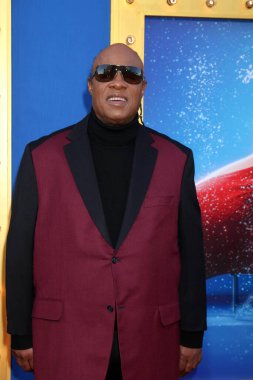 Stevie Wonder / Resim Koleksiyonu