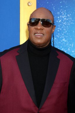 Stevie Wonder