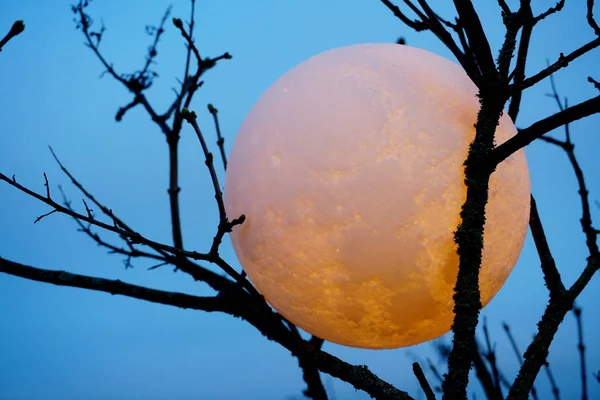 Round full moon in hands against evening sky. Lunar model, moon-shaped lamp with moon craters