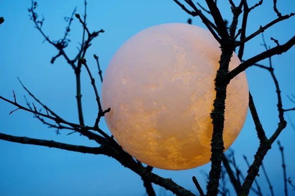 Round full moon in hands against evening sky. Lunar model, moon-shaped lamp with moon craters