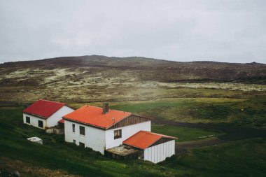 Kahverengi çatıları olan deniz feneri yakınlarındaki idari binalar. Arka planda güzel İzlanda manzarası.