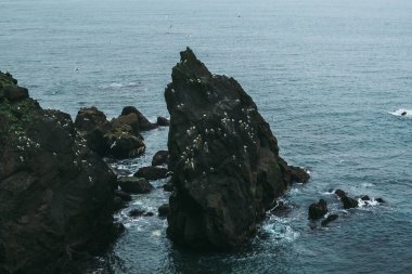 İzlanda kıyısındaki Atlantik Okyanusu 'nun suları üzerinde fantastik panoramik manzara. Mavi sularda beyaz martılarla dolu dev siyah kayalar..