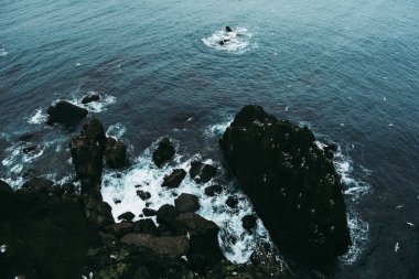 Beyaz martılar siyah kayaların ve İzlanda kıyıları yakınlarındaki Atlantik Okyanusu 'nun soğuk mavi sularının üzerinde uçuyor.